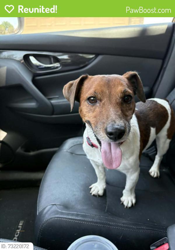 Reunited Male Dog last seen David Dr, San Antonio, TX 78239, San Antonio, TX 78239
