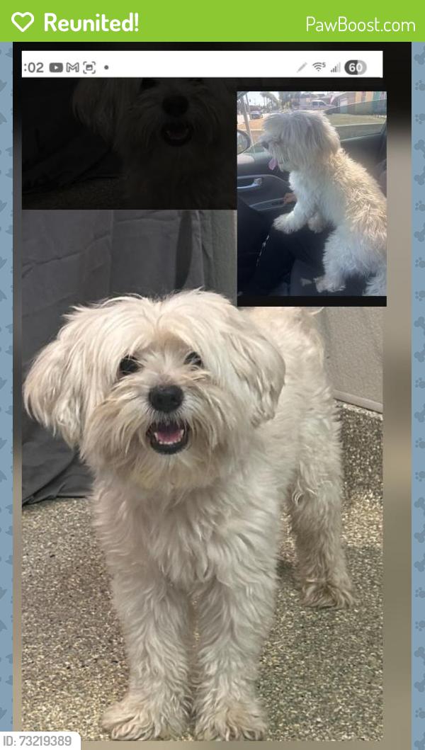 Reunited Male Dog last seen Barranca Ave. & E. San Bernardino Rd., Covina, CA 91723
