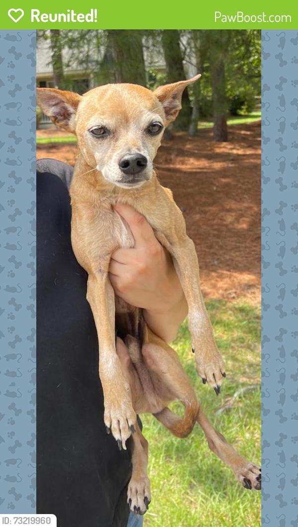 Reunited Unknown Dog last seen Seven Lakes, NC, USA, Seven Lakes, NC 27376