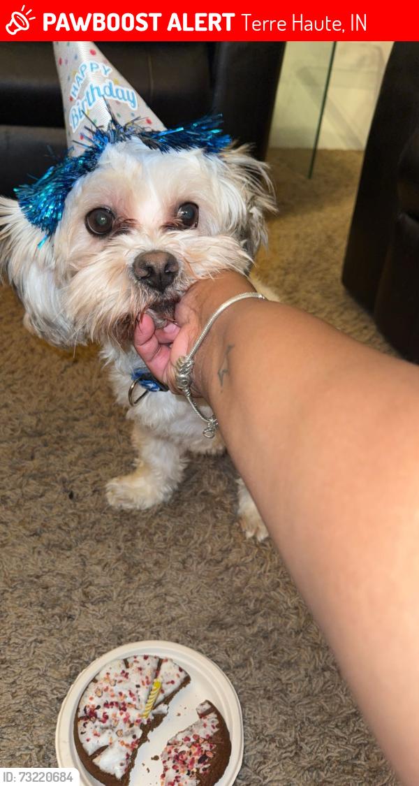 Lost Male Dog last seen Crawford, Terre Haute, IN 47807