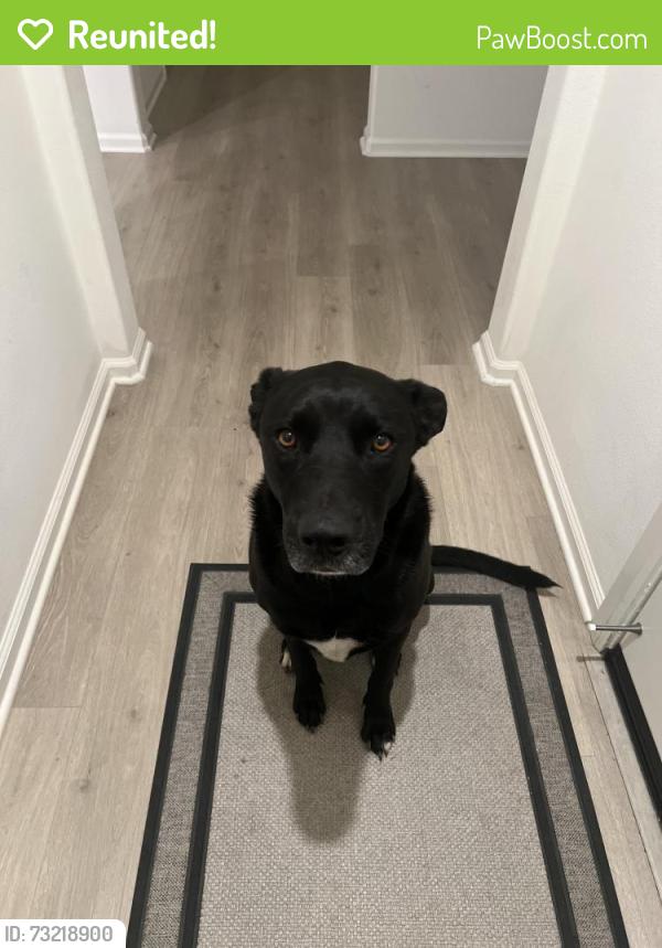 Reunited Male Dog last seen Pourroy Rd, Murrieta, CA 92563