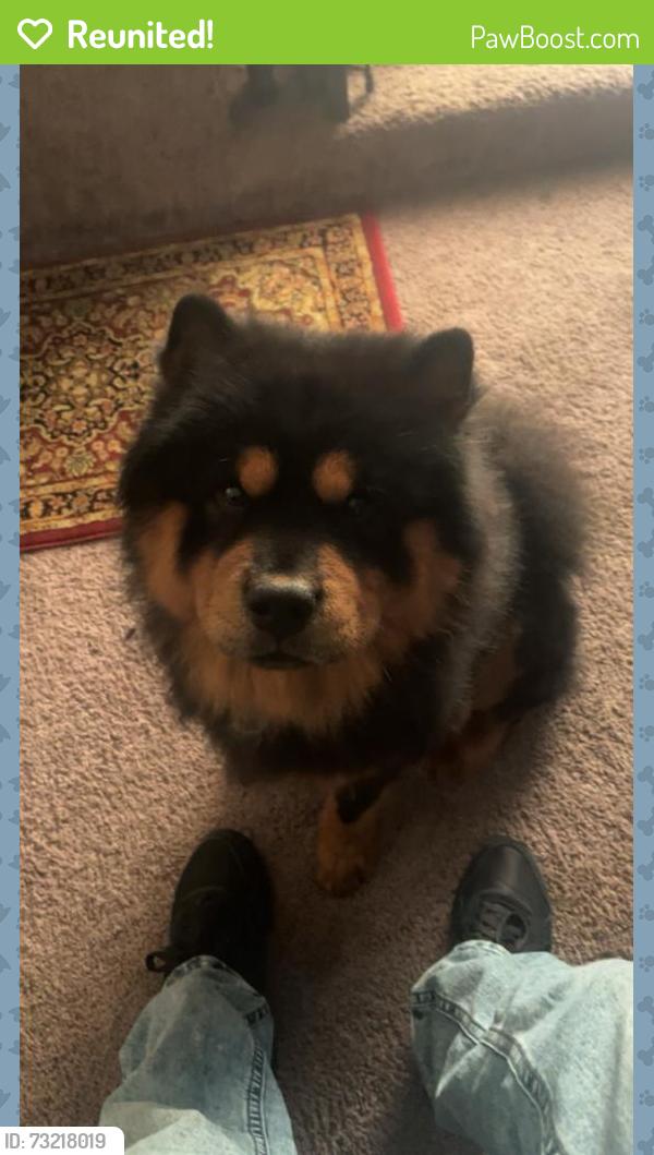 Reunited Male Dog last seen Near Jennings Dr, The Colony, TX 75056, USA, The Colony, TX 75056