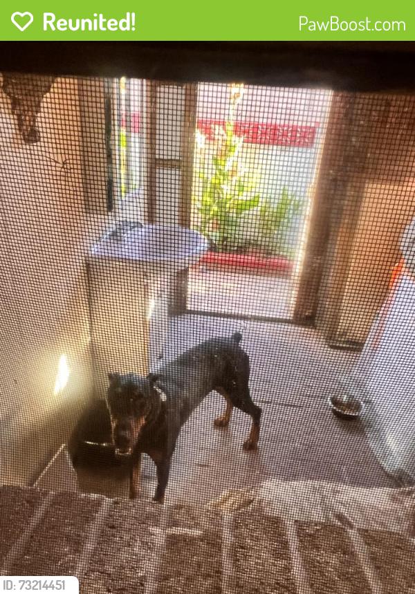 Reunited Male Dog last seen Fontana, CA, USA, Fontana, CA 92335