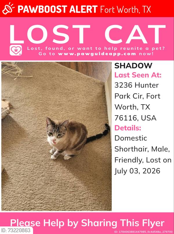Lost Male Cat last seen Hunter Park Circle, Fort Worth, TX 76116
