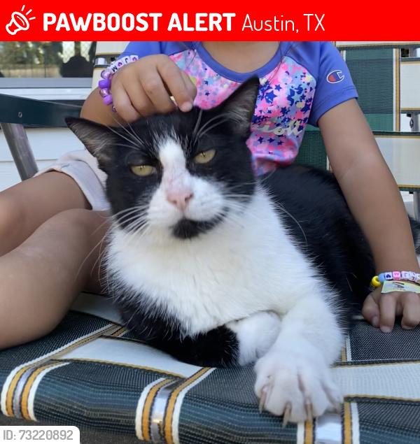 Lost Male Cat last seen Deerbrook Trl, Austin, TX 78750