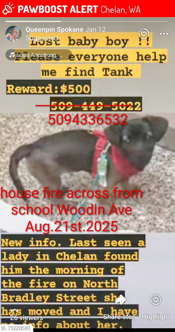 Lost Male Dog last seen Near east wooden ave, Chelan, WA 98816