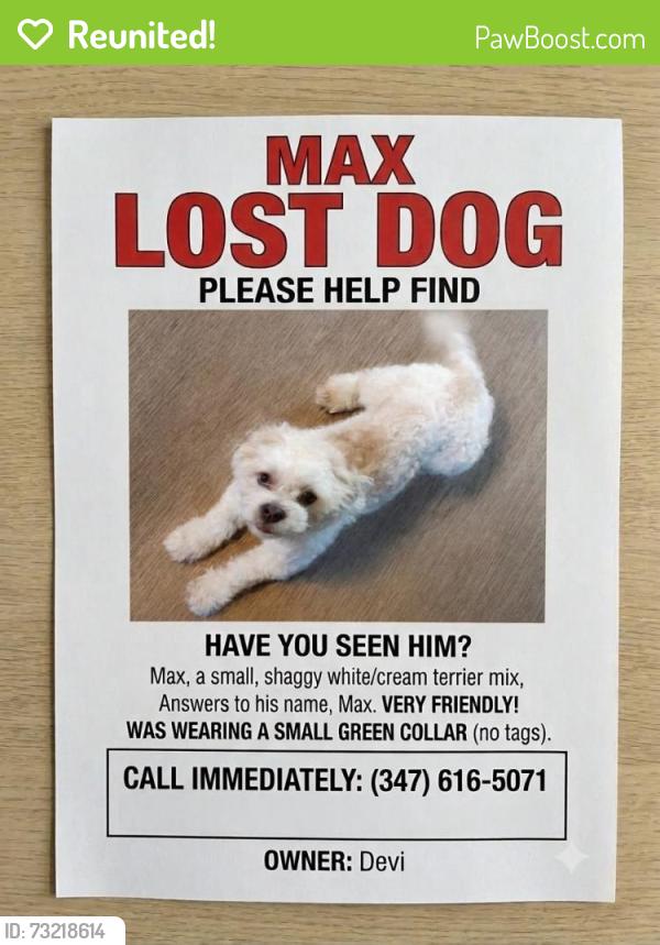 Reunited Male Dog last seen We live in a road rite off lost mountain 30127, Powder Springs, GA 30127