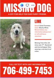 Lost Male Dog last seen Dollar General Market in Alto, Alto, GA 30510