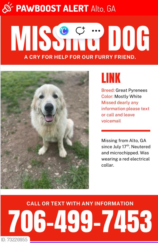 Lost Male Dog last seen Dollar General Market in Alto, Alto, GA 30510