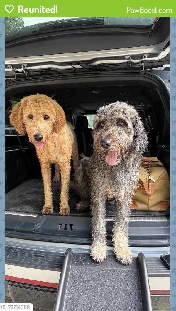 Reunited Male Dog last seen Tucker, GA 30345, USA, Atlanta, GA 30345