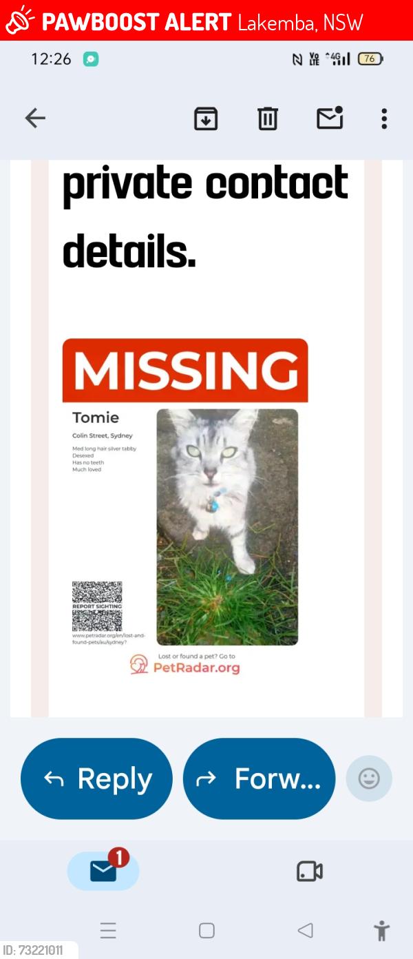 Lost Male Cat last seen Punchbowl road or lakemba st, Lakemba, NSW 2195