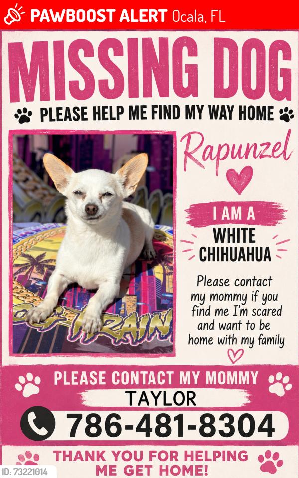 Lost Female Dog last seen Walnut rd, Ocala, FL 34480