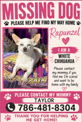 Lost Female Dog last seen Walnut rd, Ocala, FL 34480