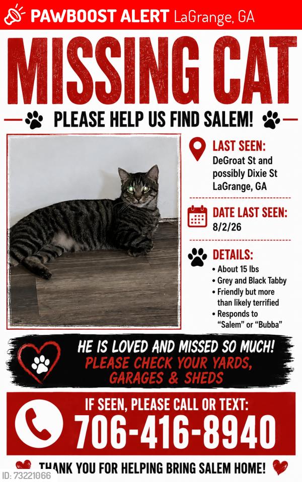 Lost Male Cat last seen Dixie St, Fair St, LaGrange, GA 30241