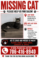 Lost Male Cat last seen Dixie St, Fair St, LaGrange, GA 30241