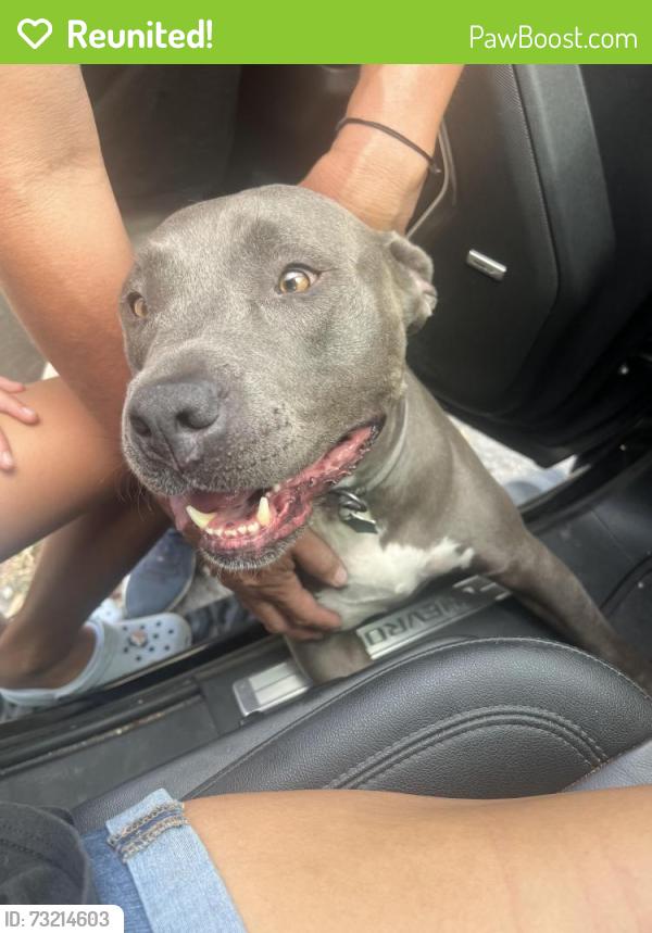 Reunited Male Dog last seen Harness and Riata, San Antonio, TX 78227
