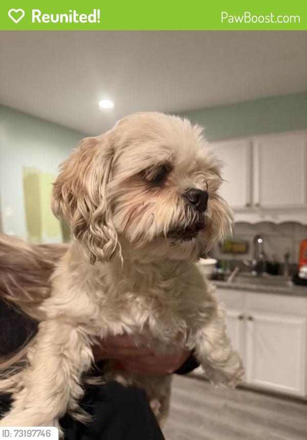 Reunited Male Dog last seen 84th and Elati, few doors down from vet, Denver, CO 80221