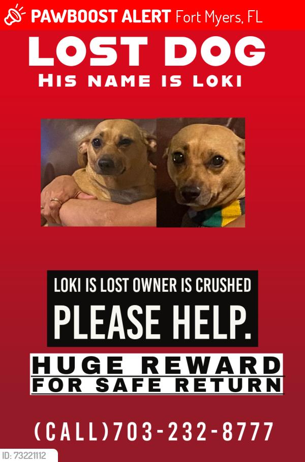 Lost Male Dog last seen Near Higginbotham rd, Fort Myers, FL 33905