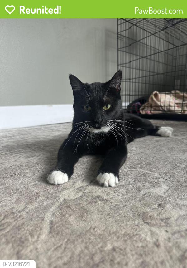 Reunited Male Cat last seen Near and south street, Schoolcraft, MI 49087