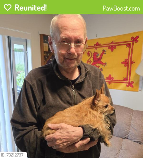 Reunited Male Dog last seen Se mcloughlin, Oak Grove, OR 97267
