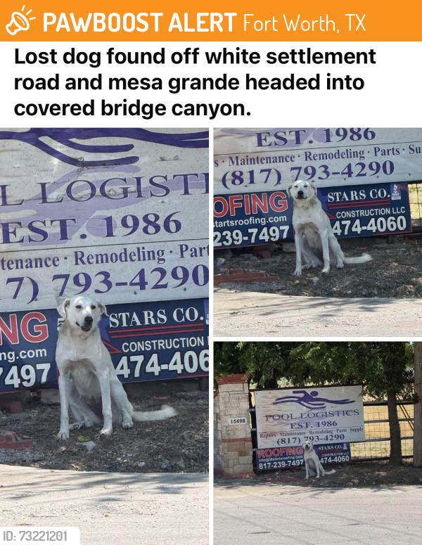 Found/Stray Unknown Dog last seen White settlement and covered bridge, Fort Worth, TX 76108