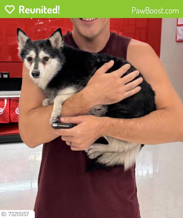 Reunited Female Dog last seen Maple Sugar St 7100, Las Vegas, NV 89149