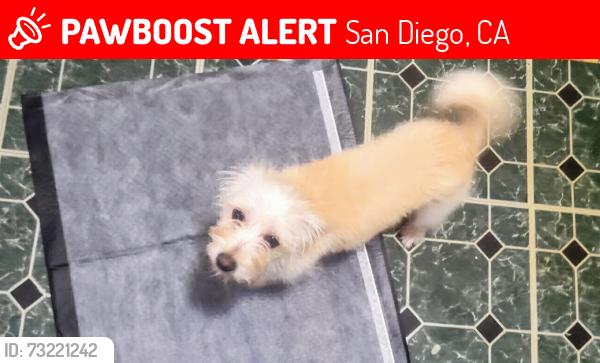 Lost Female Dog last seen Imperial ave, San Diego, CA 92102