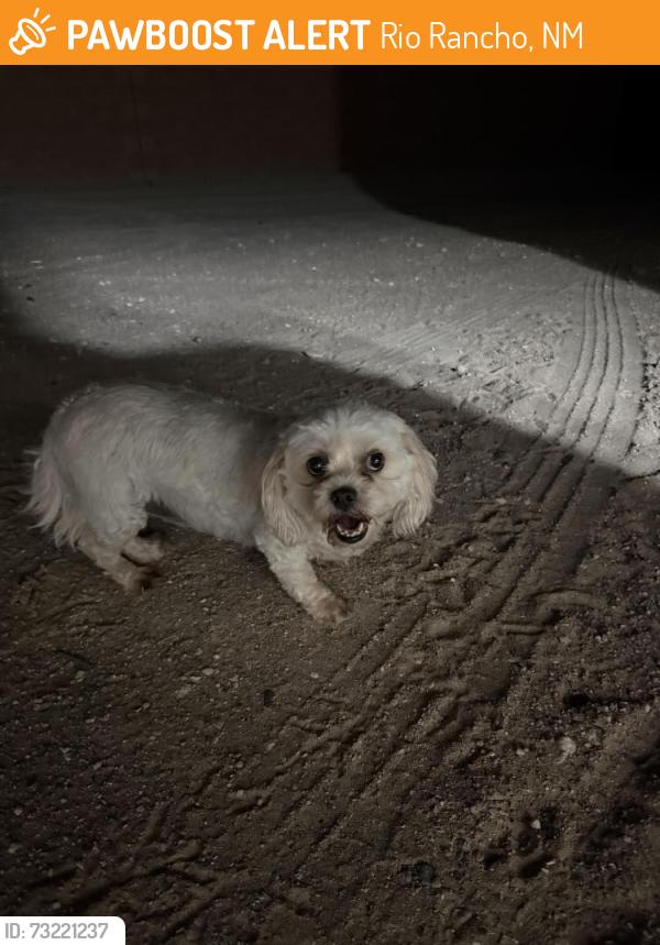 Found/Stray Female Dog last seen Unser & Black Hills, Rio Rancho, NM 87124