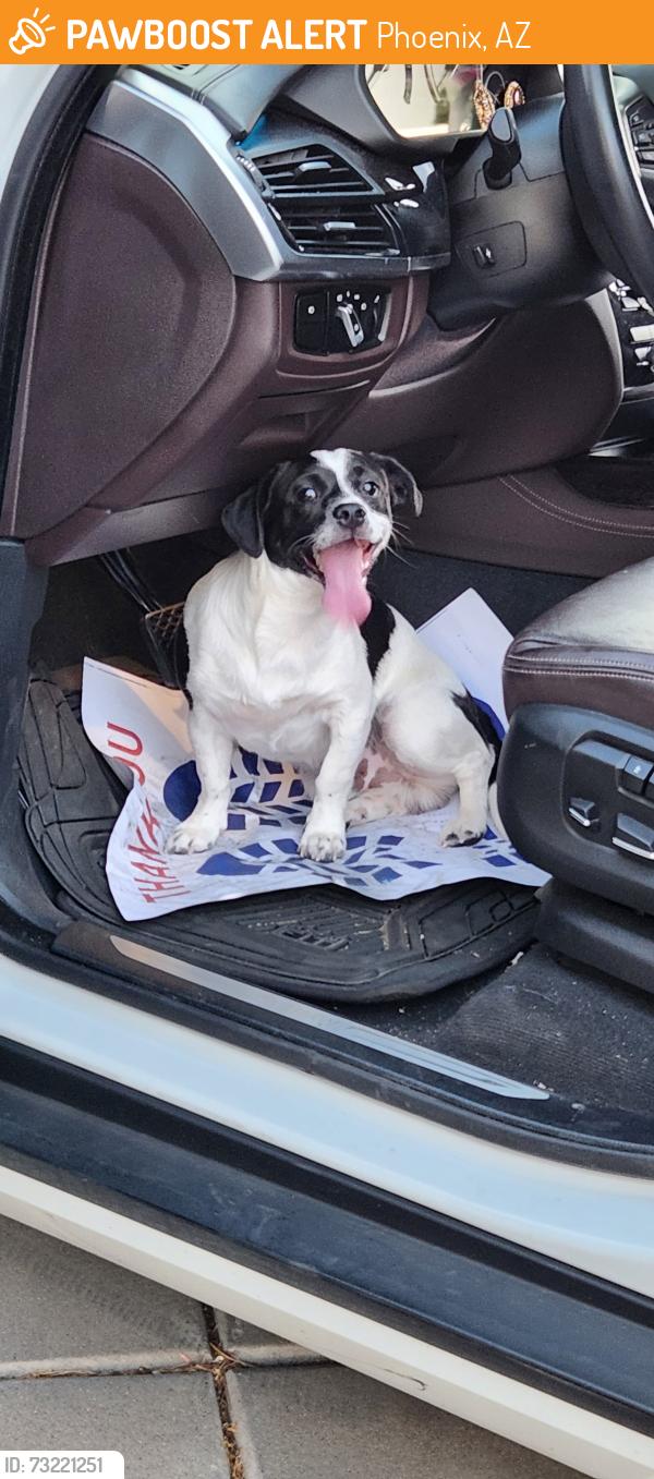 Found/Stray Male Dog last seen 51st ave and happy valley, Phoenix, AZ 85083