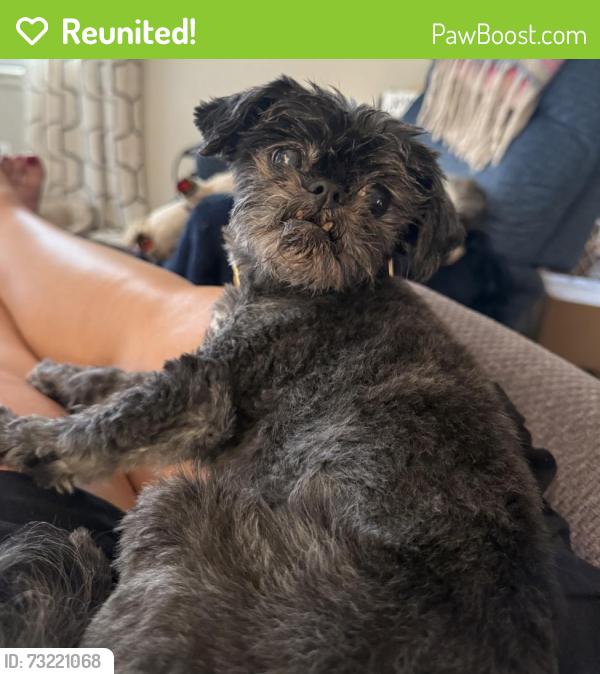 Reunited Female Dog last seen Near Grandview Bvd, Sioux City, IA 51104