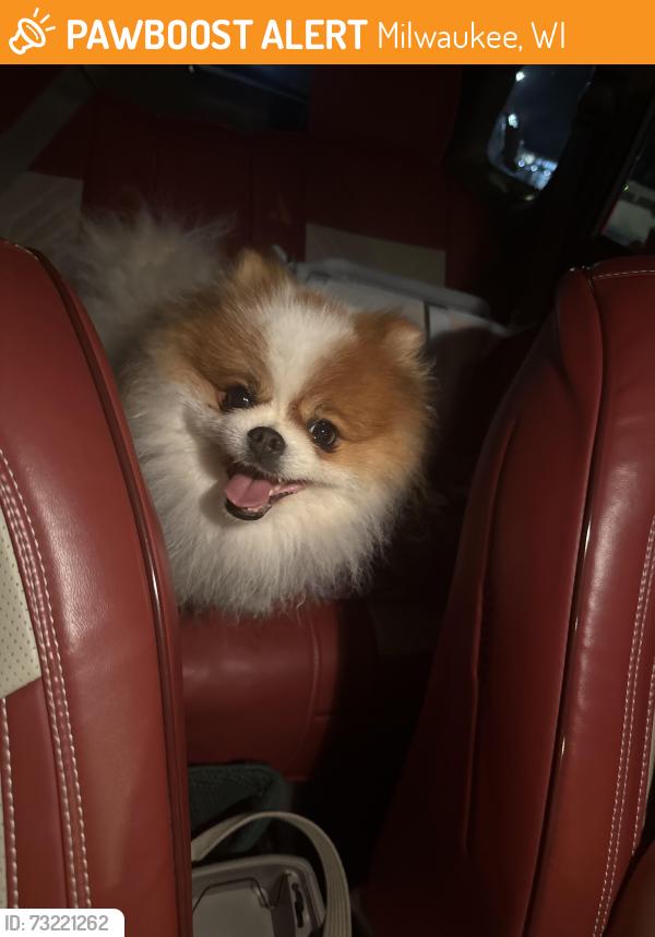Found/Stray Unknown Dog last seen Near W Rogers St Milwaukee, Milwaukee, WI 53215