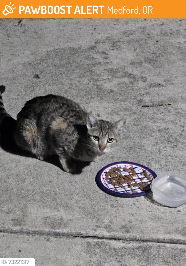 Found/Stray Unknown Cat last seen Wharf, Medford, OR 97501