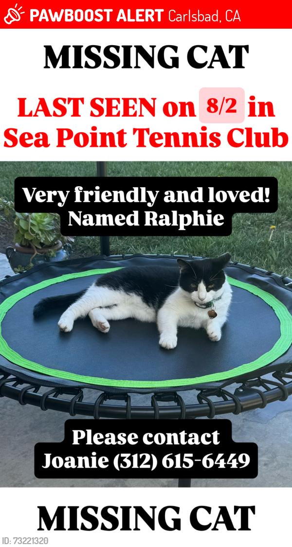 Lost Male Cat last seen Venado and Piragua, Carlsbad, CA 92009