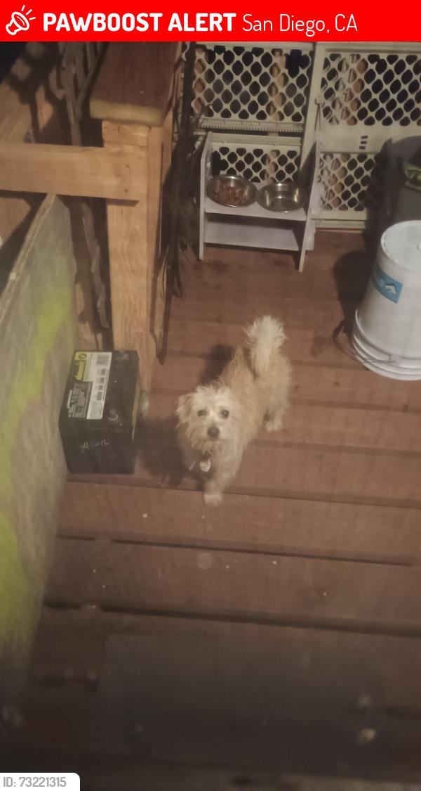 Lost Female Dog last seen Willie James Jones ave imperial, San Diego, CA 92113