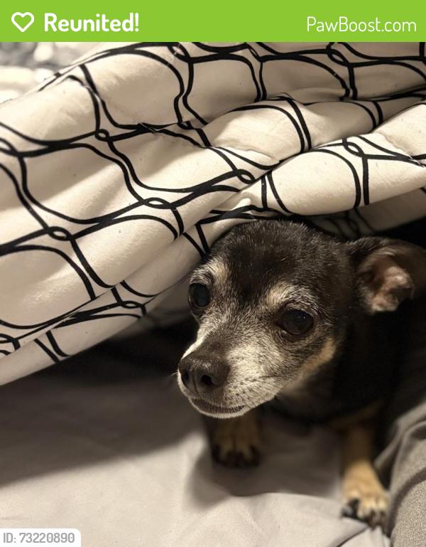 Reunited Male Dog last seen Near Jamaica rd Lancaster PA, Lancaster, PA 17602