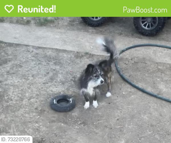 Reunited Male Dog last seen Florida and knox, Denver, CO 80219