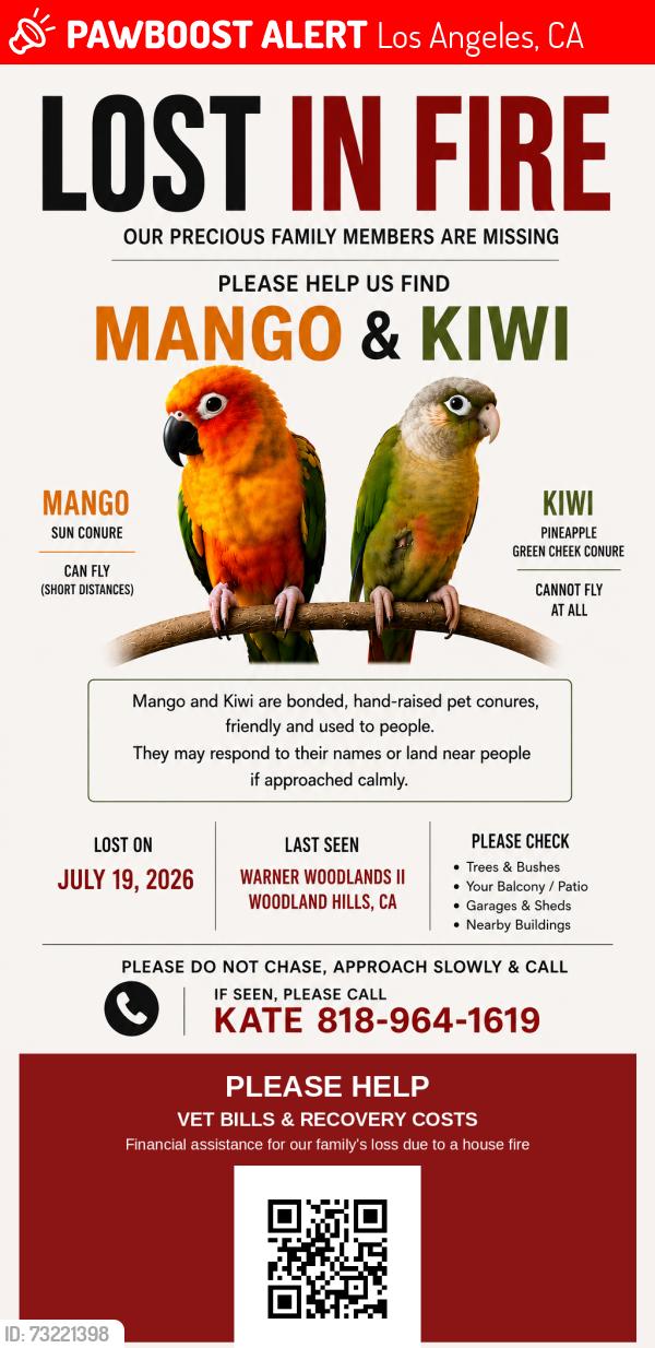 Lost Unknown Bird last seen Warner woodland II neighborhood, Los Angeles, CA 91367