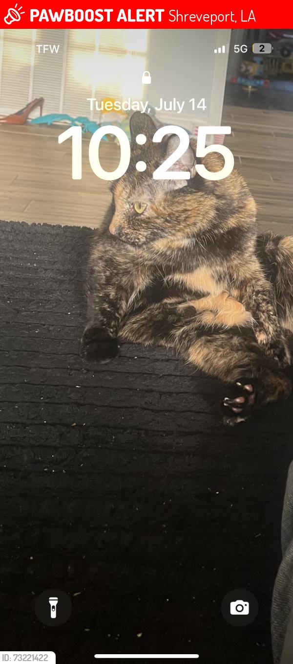 Lost Female Cat last seen Near Berkshire place, Shreveport, LA 71106