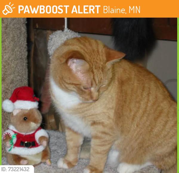 Found/Stray Unknown Cat last seen Found hiding right behind the Village sign off 109th ave and pheasant ridge, Blaine, MN 55449