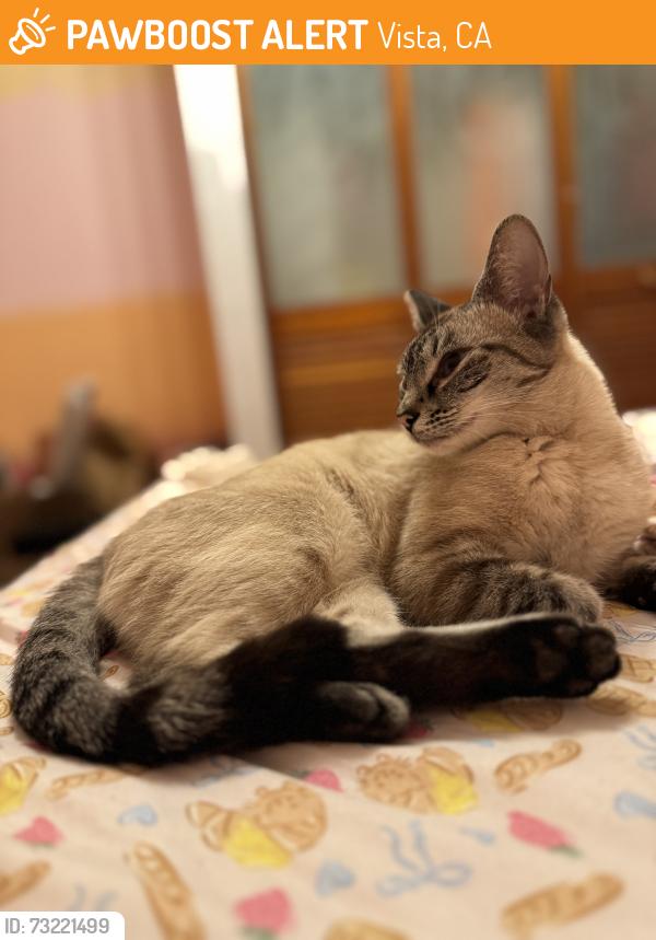 Found/Stray Female Cat last seen Guajome Park, Vista, CA 92056