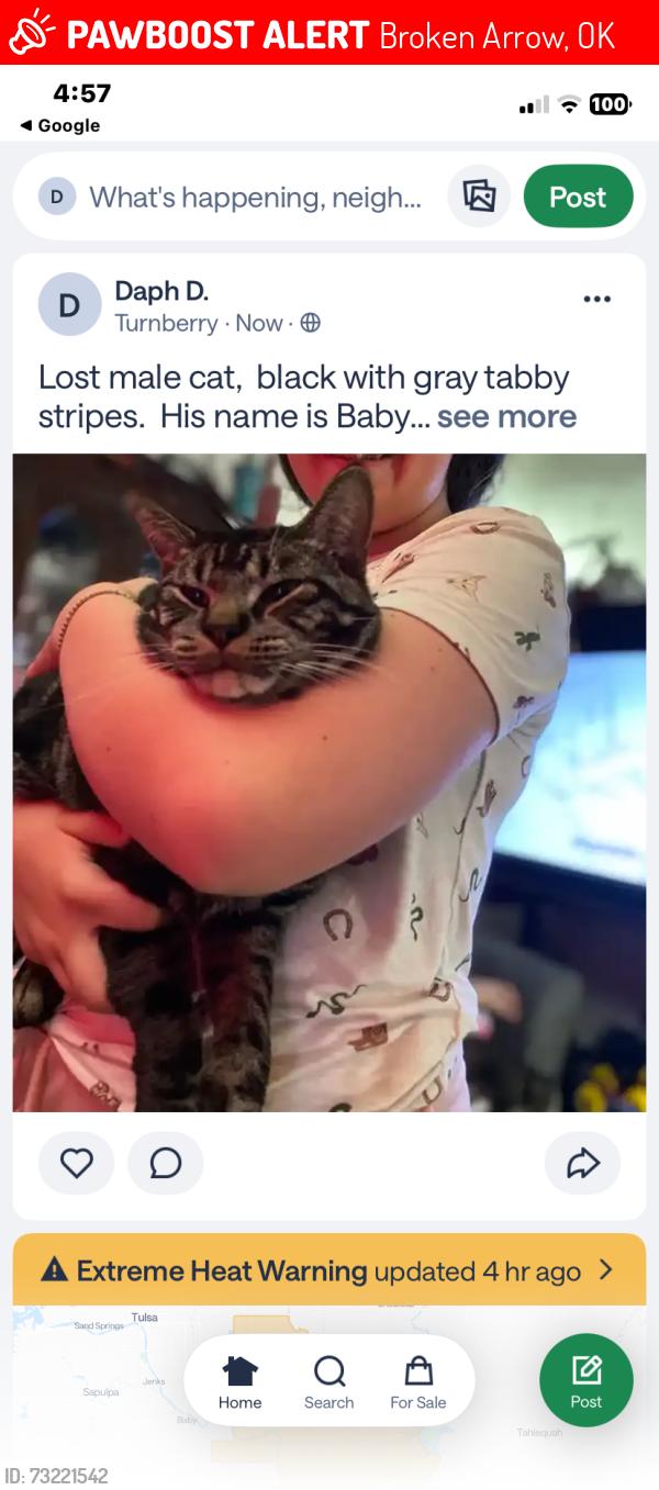 Lost Male Cat last seen Turnberry subdivision, 41st and 51st Brokem Arrow, Broken Arrow, OK 74014