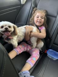 Lost Female Dog last seen Coolidge and wells ave, North Syracuse, NY 13212
