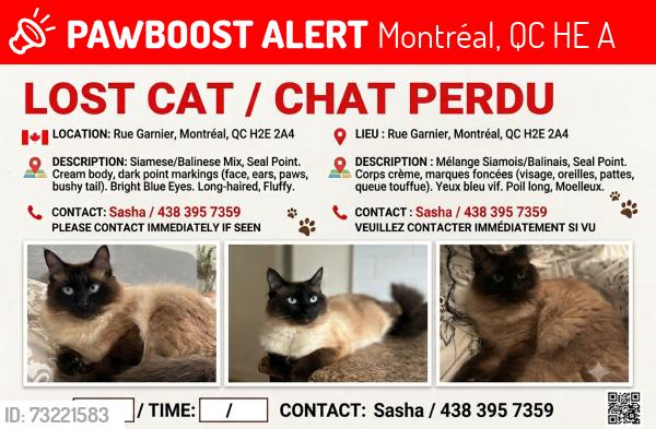 Lost Male Cat last seen Rue Garnier, Montréal, QC H2E 2A4, Montréal, QC H2E 2A4