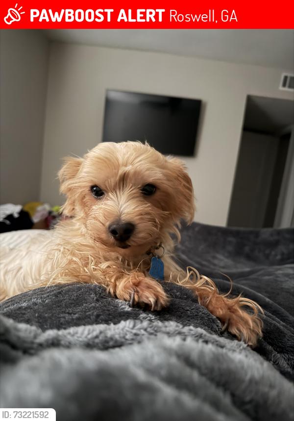 Lost Male Dog last seen Near harbor landing, Roswell, GA 30076