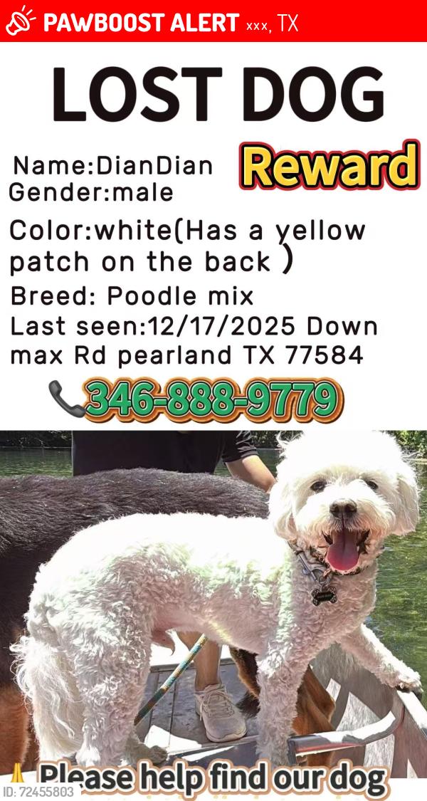 Lost Male Cat last seen Near Dawn Brook Dr, 皮尔兰, TX 77581