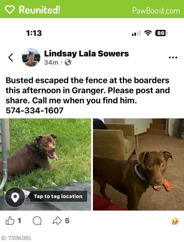 Reunited Male Dog last seen Mile Marker 82 Indiana Toll Road, Mishawaka, IN 46530