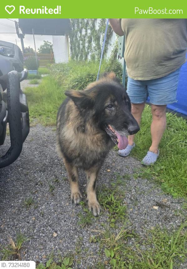 Reunited Unknown Dog last seen 34th court, Panama City, FL 32412