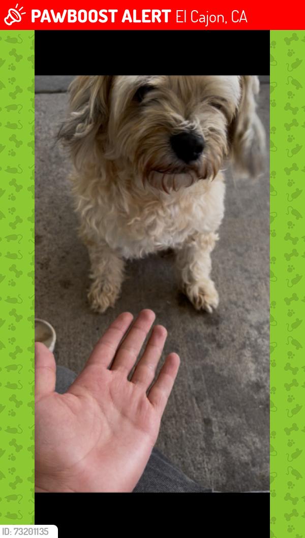 Lost Male Dog last seen El Monte rd, El Cajon, CA 92020