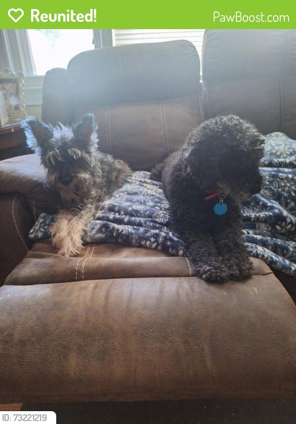 Reunited Female Dog last seen Cheraw Drive, Florence, SC 29501