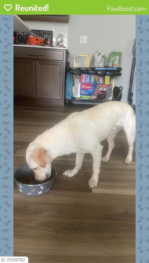 Reunited Male Dog last seen Black Branch Woods, Raeford, NC 28376